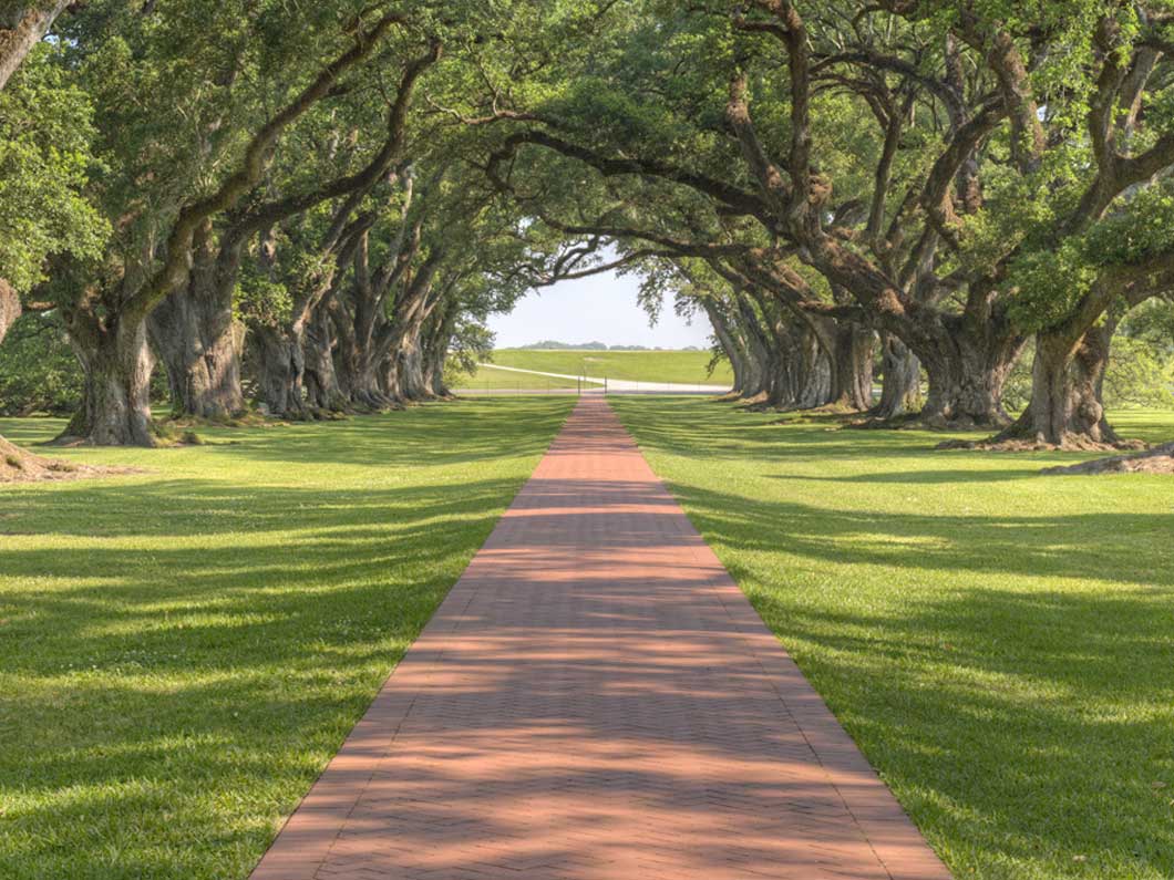 Additional Practice Areas